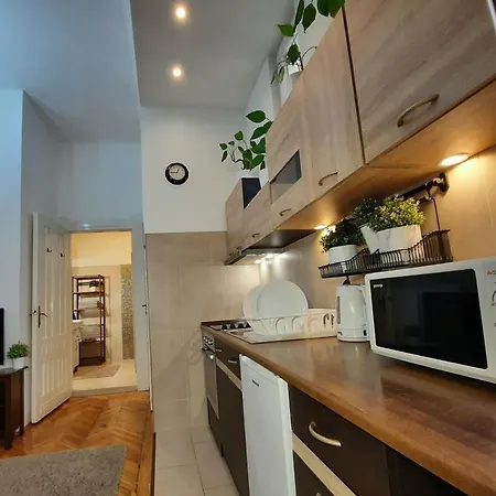 Central Gold Apartment Budapeszt Zewnętrze zdjęcie